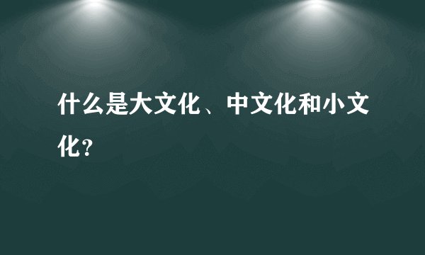 什么是大文化、中文化和小文化？