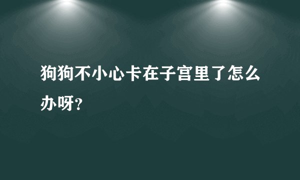狗狗不小心卡在子宫里了怎么办呀？