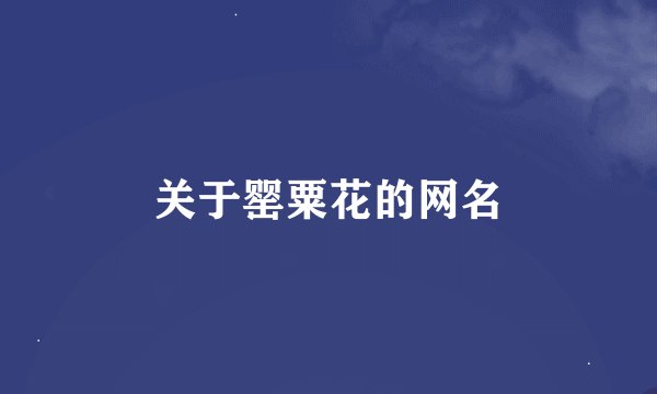 关于罂粟花的网名