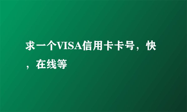 求一个VISA信用卡卡号，快，在线等