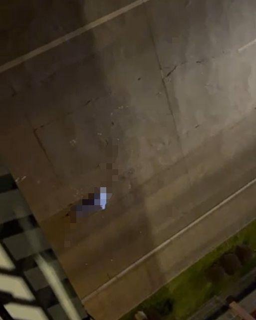 六旬男子伤害1名女性后坠桥身亡 这是咋情况?