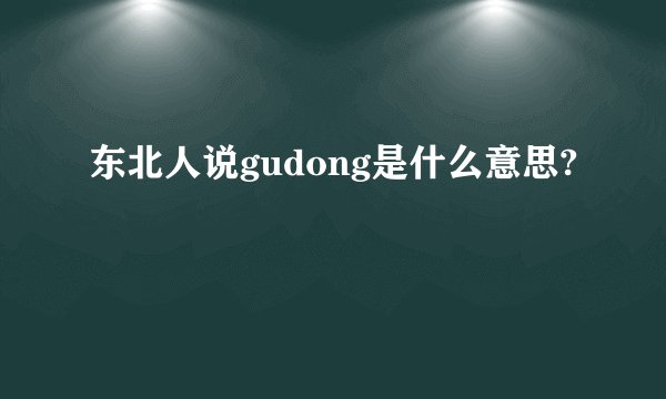 东北人说gudong是什么意思?