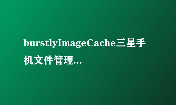 burstlyImageCache三星手机文件管理器里的这个文件夹是什么东西