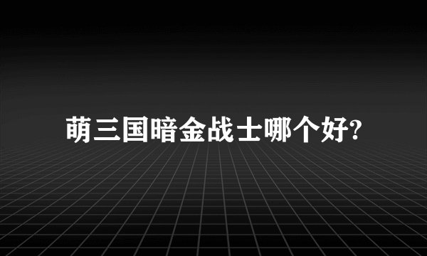 萌三国暗金战士哪个好?