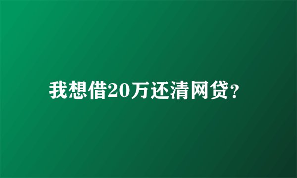 我想借20万还清网贷？