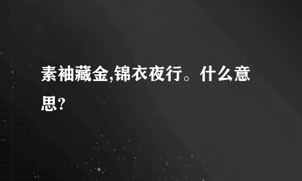 素袖藏金,锦衣夜行。什么意思?