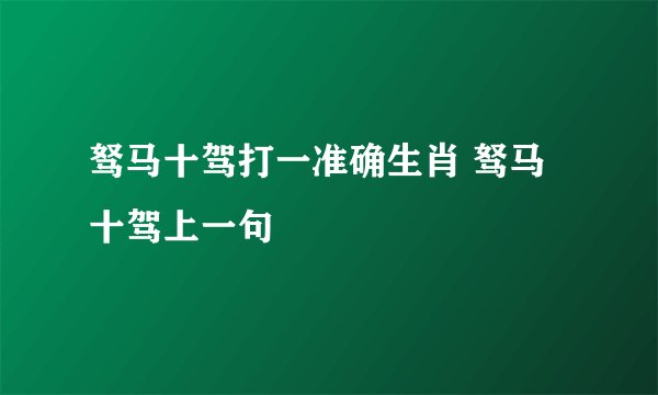 驽马十驾打一准确生肖 驽马十驾上一句
