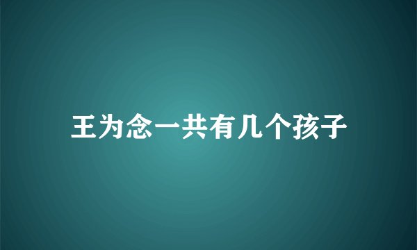 王为念一共有几个孩子