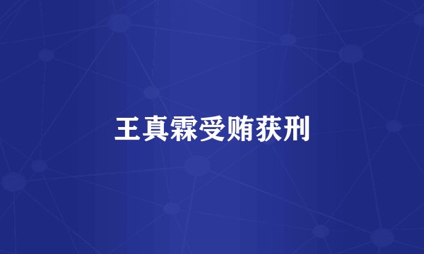 王真霖受贿获刑