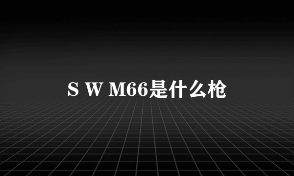 S W M66是什么枪