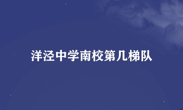 洋泾中学南校第几梯队