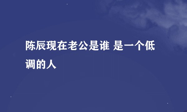 陈辰现在老公是谁 是一个低调的人