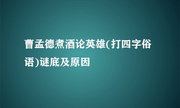 曹孟德煮酒论英雄(打四字俗语)谜底及原因