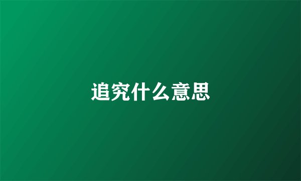 追究什么意思