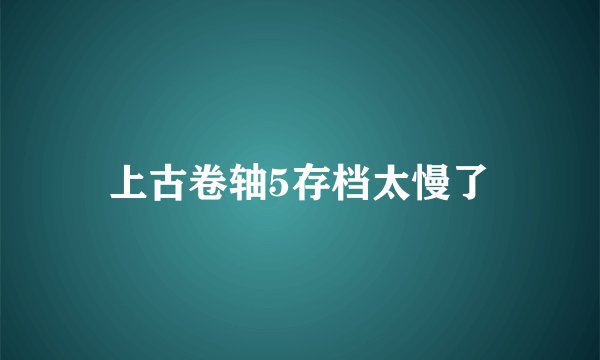 上古卷轴5存档太慢了