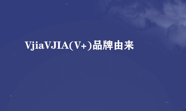 VjiaVJIA(V+)品牌由来