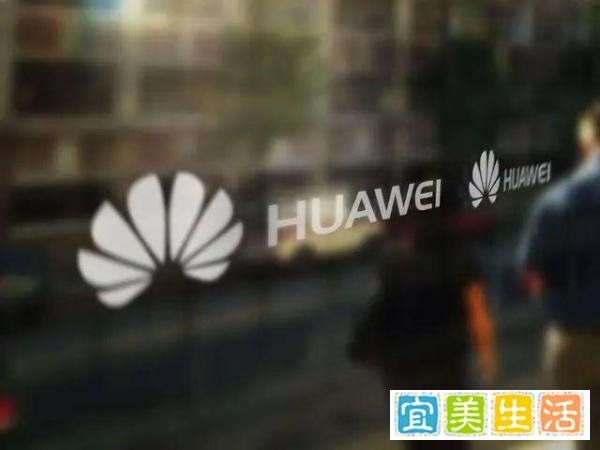 人均超50万！华为大手笔分红771亿