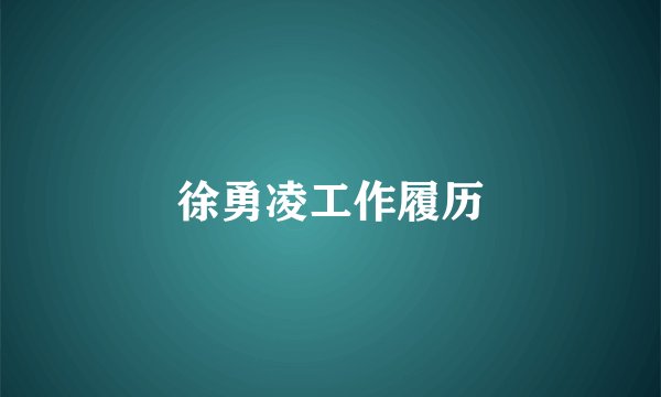 徐勇凌工作履历