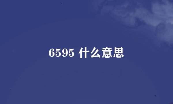 6595 什么意思