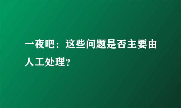 一夜吧：这些问题是否主要由人工处理？