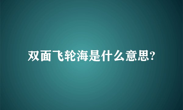 双面飞轮海是什么意思?