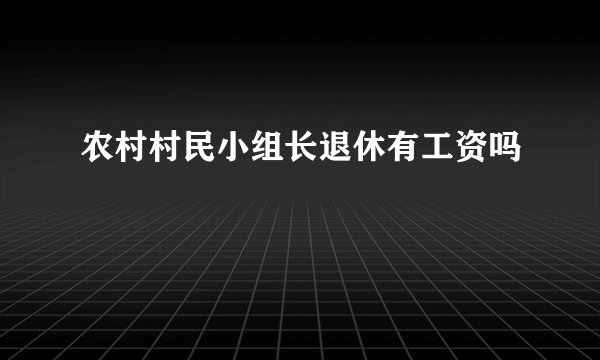 农村村民小组长退休有工资吗