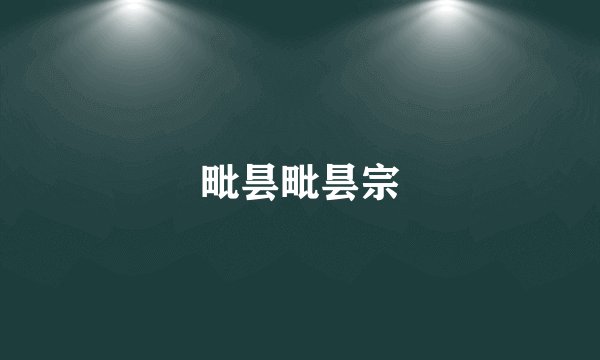 毗昙毗昙宗