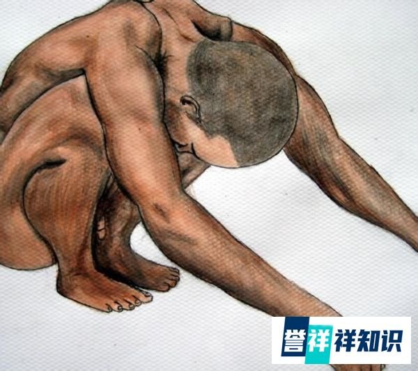 B型血人的性格特点
