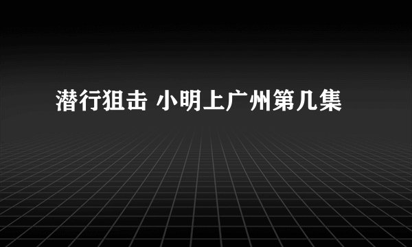 潜行狙击 小明上广州第几集