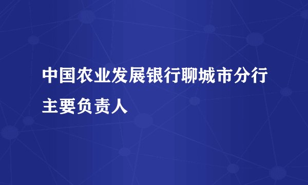 中国农业发展银行聊城市分行主要负责人