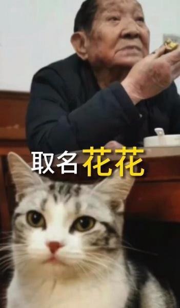 走丢的袁花花已被找到 这是咋情况？
