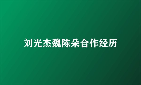 刘光杰魏陈朵合作经历