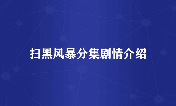 扫黑风暴分集剧情介绍