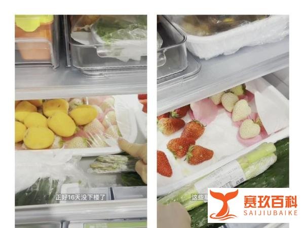 上海女子晒冰箱花6分钟数完物资 网友:羡慕大冰箱