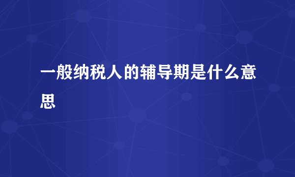 一般纳税人的辅导期是什么意思