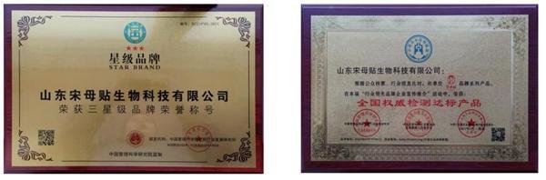宋母贴第九代传承人-宋笑妍:中医药文化传播的使者