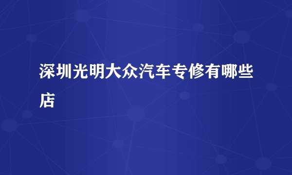 深圳光明大众汽车专修有哪些店
