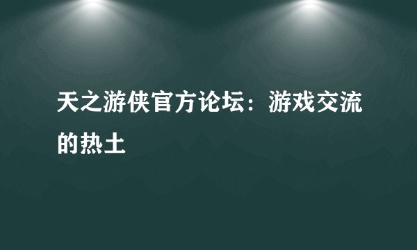 天之游侠官方论坛：游戏交流的热土