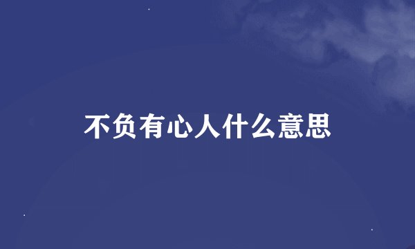 不负有心人什么意思