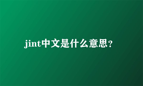 jint中文是什么意思？