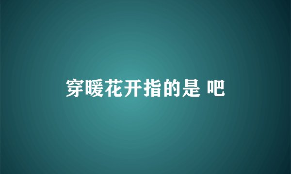 穿暖花开指的是 吧