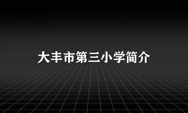 大丰市第三小学简介