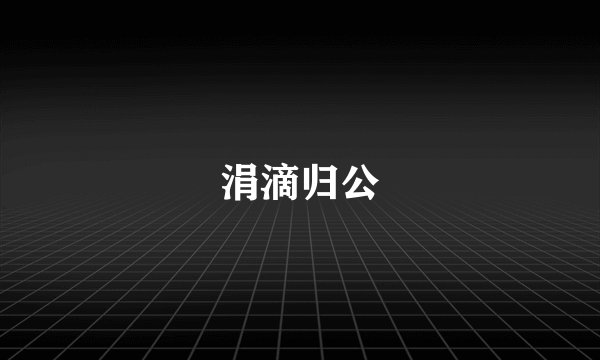 涓滴归公