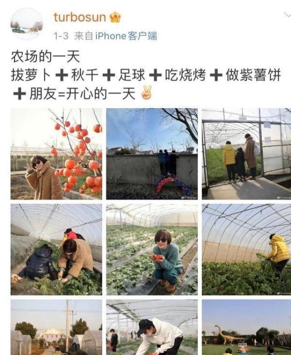 王祖蓝五一只想在家种菜 这是咋情况?