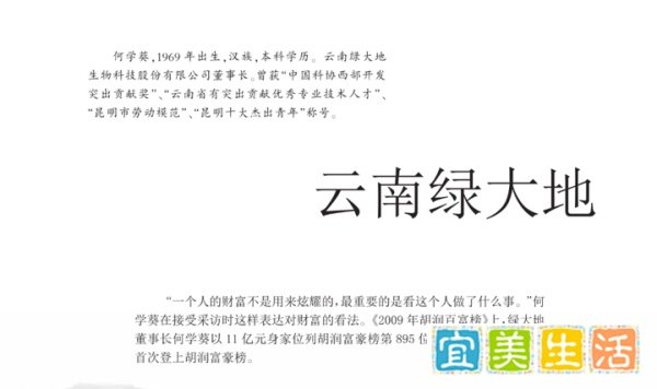 云南绿大地为什么要造假？
