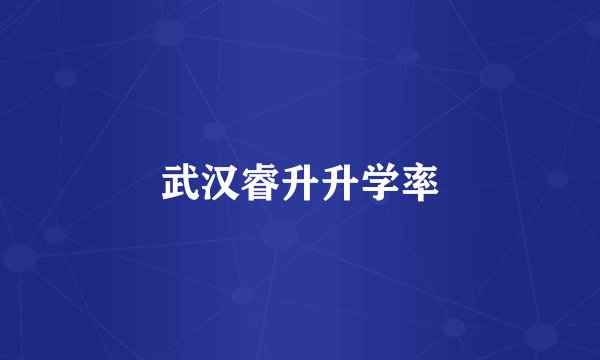 武汉睿升升学率