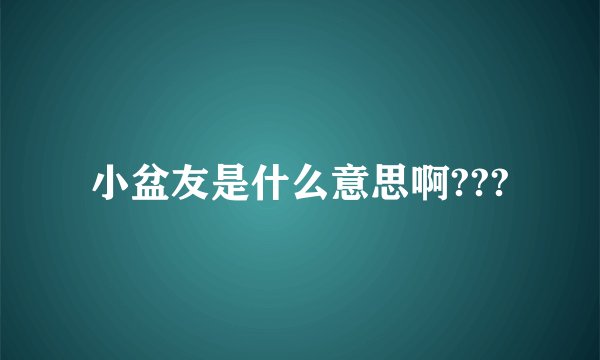 小盆友是什么意思啊???
