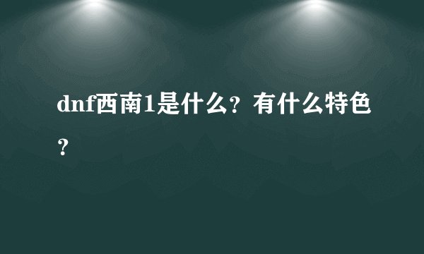 dnf西南1是什么？有什么特色？