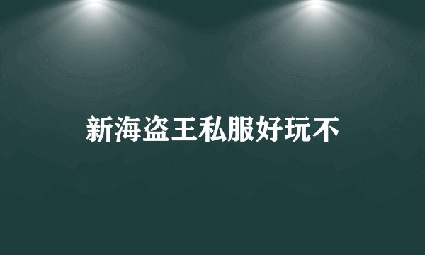 新海盗王私服好玩不