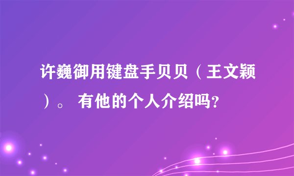 许巍御用键盘手贝贝（王文颖）。 有他的个人介绍吗？
